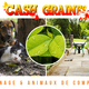 JARDINERIE CASH GRAINES NORD ET CASH GRAINES SUD PERPIGNAN RIVESALTES CLAIRA CABESTANY POLLESTRES ST-ESTEVE