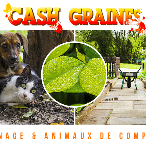 JARDINERIE CASH GRAINES NORD ET CASH GRAINES SUD PERPIGNAN RIVESALTES CLAIRA CABESTANY POLLESTRES ST-ESTEVE