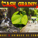 OU TROUVER UNE ANIMALERIE A PERPIGNAN CHEZ CASH GRAINES NORD - CASH GRAINES SUD - PERPIGNAN - CABESTANY - RIVESALTES - CLAIRA - THUIR - POLLESTRES -...