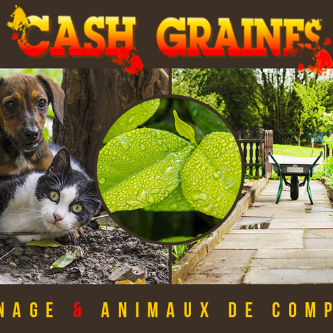 OU TROUVER UNE ANIMALERIE A PERPIGNAN CHEZ CASH GRAINES NORD - CASH GRAINES SUD - PERPIGNAN - CABESTANY - RIVESALTES - CLAIRA - THUIR - POLLESTRES -...