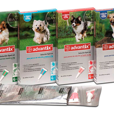  ADVANTIX Antiparasitaire spot-on contre les puces, tiques, moustiques et phlébotomes PERPIGNAN - BOMPAS - RIVESALTES - CLAIRA - LE BOULOU - CERET...