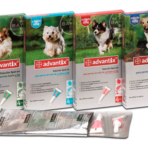  ADVANTIX Antiparasitaire spot-on contre les puces, tiques, moustiques et phlébotomes PERPIGNAN - BOMPAS - RIVESALTES - CLAIRA - LE BOULOU - CERET...