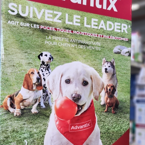  ADVANTIX Antiparasitaire spot-on contre les puces, tiques, moustiques et phlébotomes PERPIGNAN - BOMPAS - RIVESALTES - CLAIRA - LE BOULOU - CERET...
