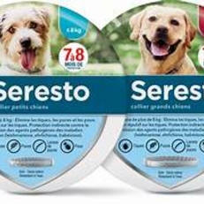 Collier antiparasitaire Seresto® pour chien - PERPIGNAN - BOMPAS - RIVESALTES - CLAIRA - LE BOULOU - CERET - SAINT-ESTEVE