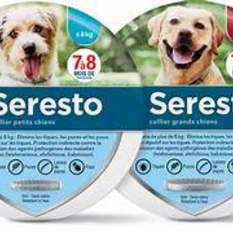 Collier antiparasitaire Seresto® pour chien - PERPIGNAN - BOMPAS - RIVESALTES - CLAIRA - LE BOULOU - CERET - SAINT-ESTEVE
