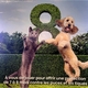 Collier antiparasitaire Seresto® pour chien - PERPIGNAN - BOMPAS - RIVESALTES - CLAIRA - LE BOULOU - CERET - SAINT-ESTEVE