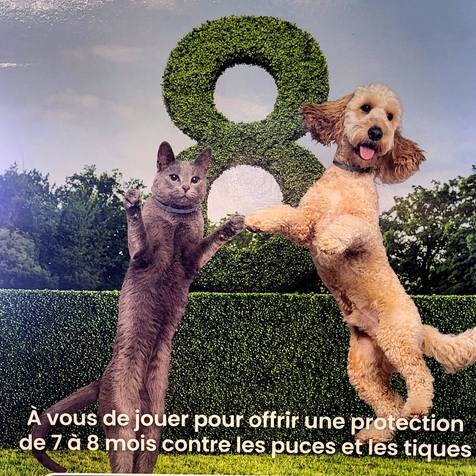 Collier antiparasitaire Seresto® pour chien - PERPIGNAN - BOMPAS - RIVESALTES - CLAIRA - LE BOULOU - CERET - SAINT-ESTEVE