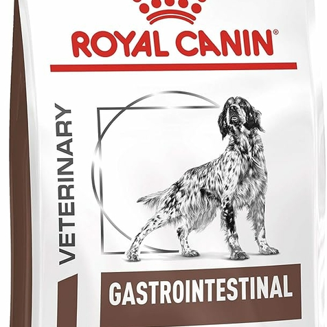 ROYAL CANIN DOG GASTRO INTESTINAL 15KG