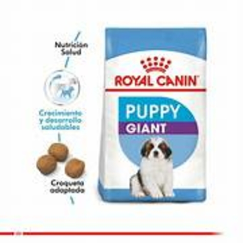 ROYAL CANIN GIANT PUPPY 15 KG - CASH GRAINES SUD