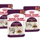 ROYAL CANIN SENSORY  -  CASH GRAINES SUD - CASH GRAINES NORD - LE BOULOU - CERET - THUIR - CLAIRA - RIVESALTES