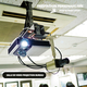 VIDEO PROJECTEUR+TOILE ..Chez Connecté! PERPIGNAN