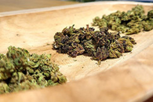 Deli Hemp Perpignan, boutique CBD avec du chanvre bio