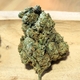 FLEURS CBD PAS CHER QUALITE PERPIGNAN - CANET - ARGELES - SAINT CYPRIEN - POLLESTRE CHEZ DELI HEMP PERPIGNAN LA FAUCEILLE