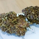 FLEURS CBD PAS CHER QUALITE PERPIGNAN - CANET - ARGELES - SAINT CYPRIEN - POLLESTRE CHEZ DELI HEMP PERPIGNAN LA FAUCEILLE