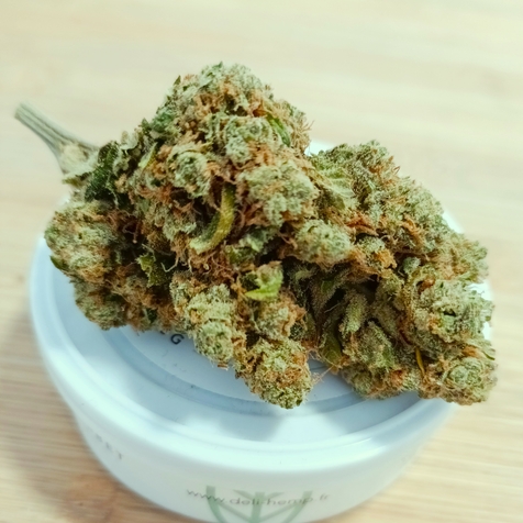 FLEURS CBD PREMIUM PAS CHER- DELI HEMP PERPIGNAN - CANET - ARGELES - SAINT CYPRIEN - POLLESTRE CHEZ DELI HEMP PERPIGNAN LA FAUCEILLE