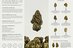 Deli Hemp Perpignan
