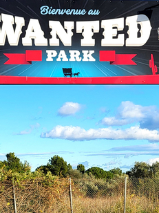 Laser game Perpignan chez Wanted Park Perpignan et roller musical