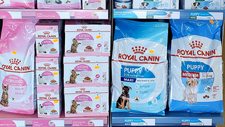 Vos croquettes Royal Canin chiot à Perpignan chez Cash Graines Pollestres