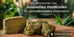 Nouveautés de DeliHemp Perpignan, boutique CBD à Perpignan.
