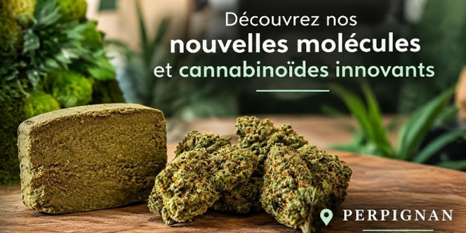Nouveautés de DeliHemp Perpignan, boutique CBD à Perpignan.
