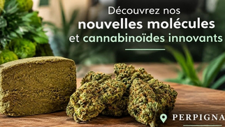 Nouveautés de DeliHemp Perpignan, boutique CBD à Perpignan.