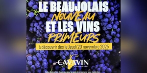 Cavavin Perpignan • Beaujolais nouveau • Muscat de Noël