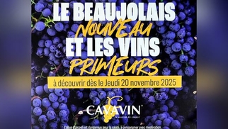 Cavavin Perpignan • Beaujolais nouveau • Muscat de Noël