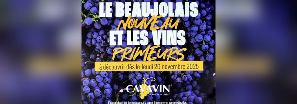 Cavavin Perpignan