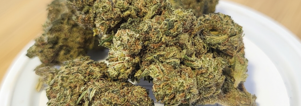 Deli Hemp Perpignan  Perpignan annonce de nouvelles fleurs CBD premium.