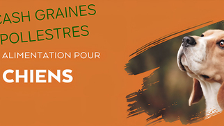  Cash Graines Sud Pollestres vend la marque de croquette Nature's Variety.