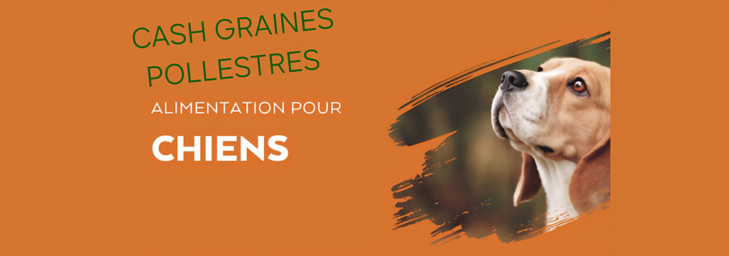  Cash Graines Sud Pollestres vend la marque de croquette Nature's Variety.
