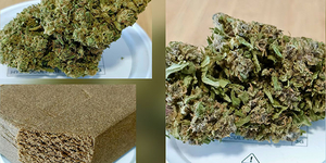 Deli Hemp Perpignan - CBD Shop • nouvelles fleurs de CBD et résines