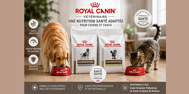 Cash Graines Perpignan vend des croquettes Royal Canin pour vos chiens et chats à St Estève et Pollestres.