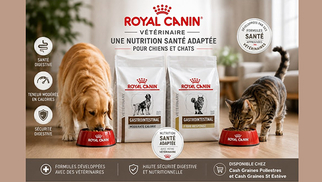 Cash Graines Perpignan vend des croquettes Royal Canin pour vos chiens et chats à St Estève et Pollestres.
