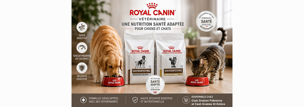 Cash Graines Perpignan vend des croquettes Royal Canin pour vos chiens et chats à St Estève et Pollestres.