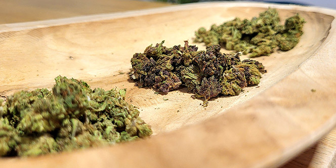 Promo CBD Perpignan chez Deli hemp