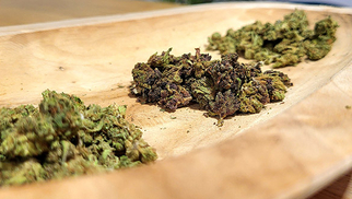 Promo CBD Perpignan chez Deli hemp