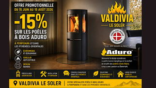 Valdivia Perpignan le Soler • Promo poêles à bois du 15 juin jusqu'au 15 août 2026 