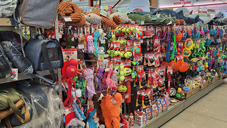 Cash Graines Sud et Cash Graines Nord, animaleries à Perpignan • cadeaux de Noël tendance pour chien ou chat.