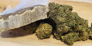 Deli hemp Perpignan est un CBD shop 