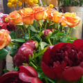 Rev'en Fleurs Cabestany Fleuriste près de Perpignan annonce des Promos chaque jour Rev'en Fleurs Cabestany Fleuriste près de Perpignan annonce des Promos chaque jour